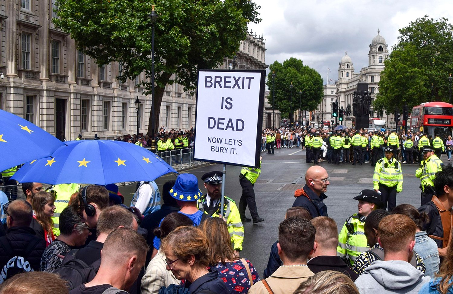 London, UK. 5th July 2024. An activist holds an anti-Brexit sign. Crowds of Labour supporters and others gathered and cheered as Keir Starmer arrived at Downing Street as the new UK Prime Minister. Labour won by a landslide ending 14 years of Tory rule. C