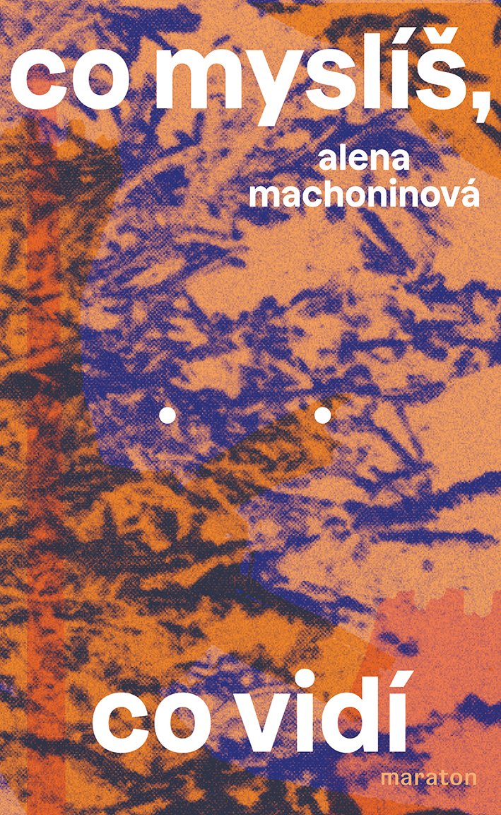 Alena Machoninová: Co myslíš, co vidí   