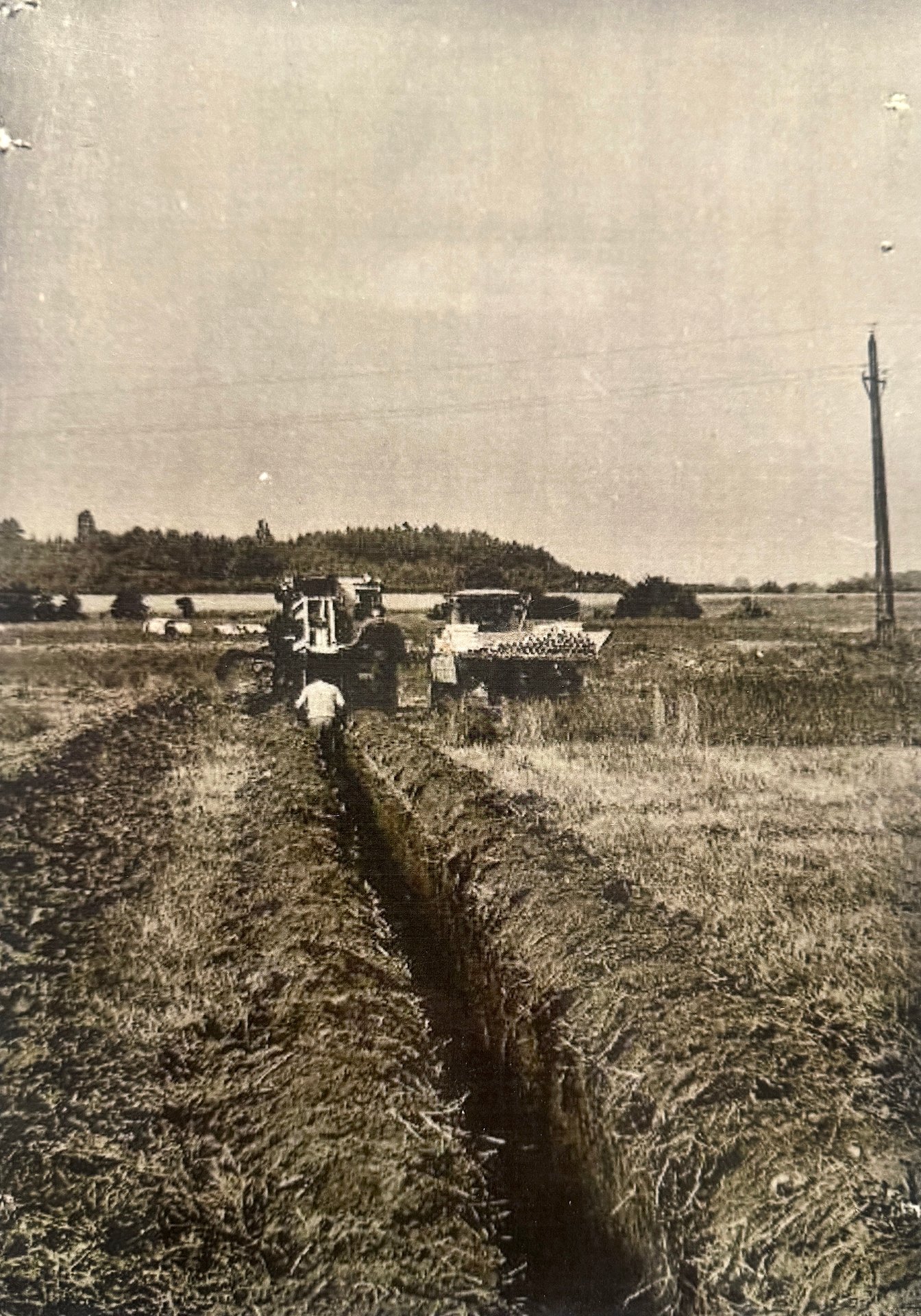 Vlastimil Peřina říká, že jeho dědeček jako předseda JZD meliorace dělal, zatímco on je teď ruší. (Pokládání drenážních trubek v sedmdesátých letech)