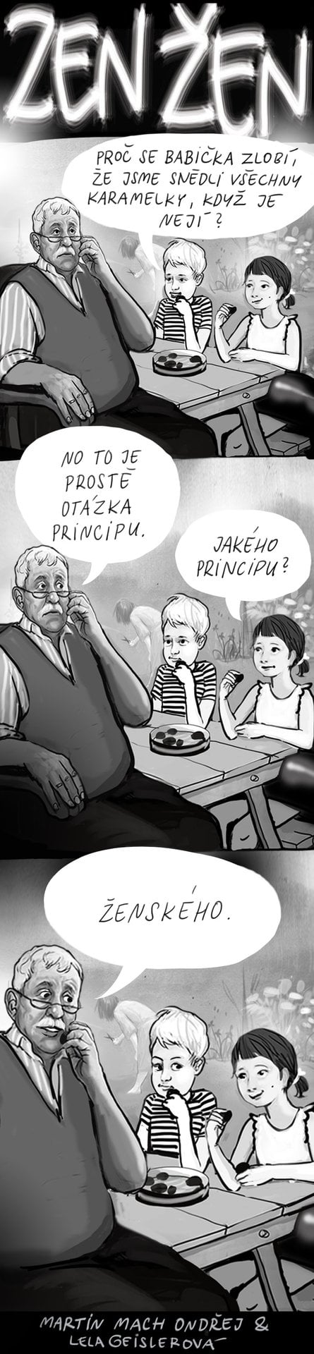 Zen žen