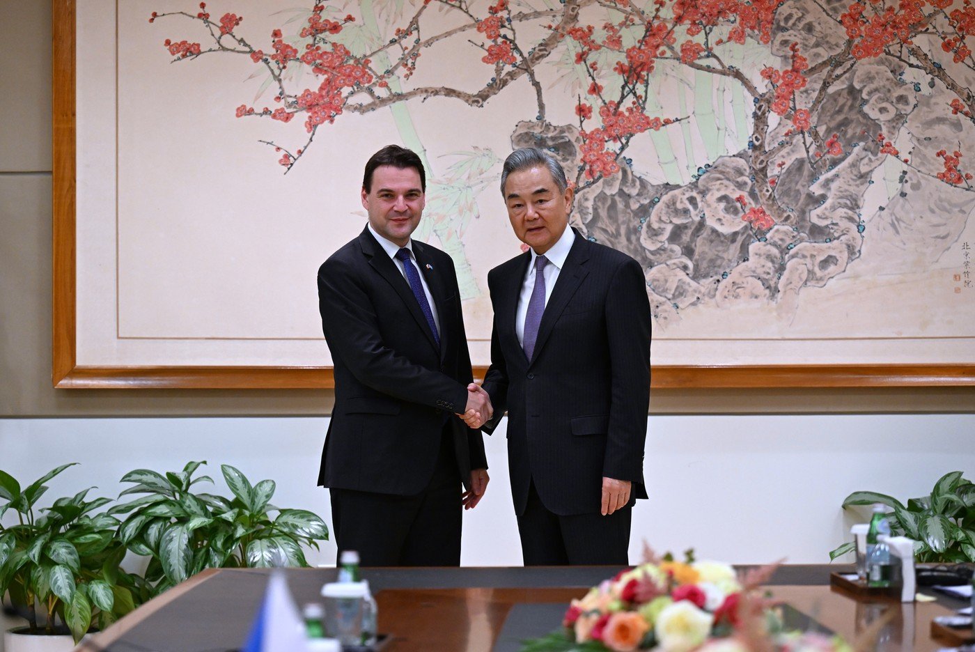 UN CHINA WANG YI CZECH PETR MACINKA MEETING