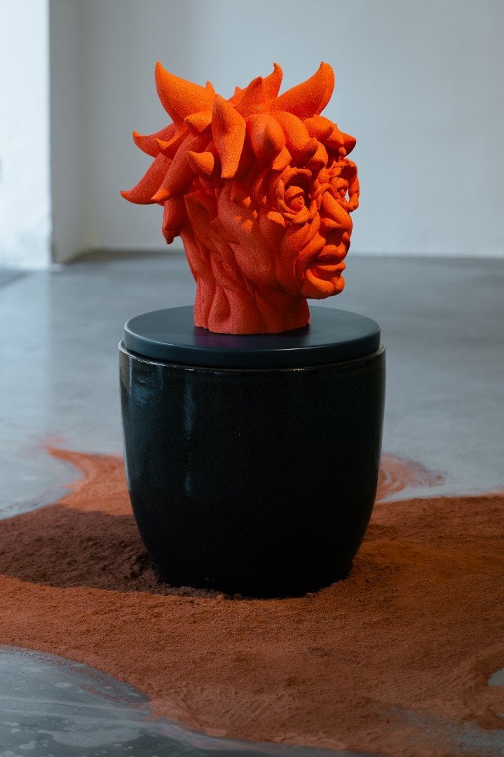 RŮSTOVÝ BOOM, Magdaléna Roztočilová, galerie KVALITÁŘ, foto_ Jan Kantor