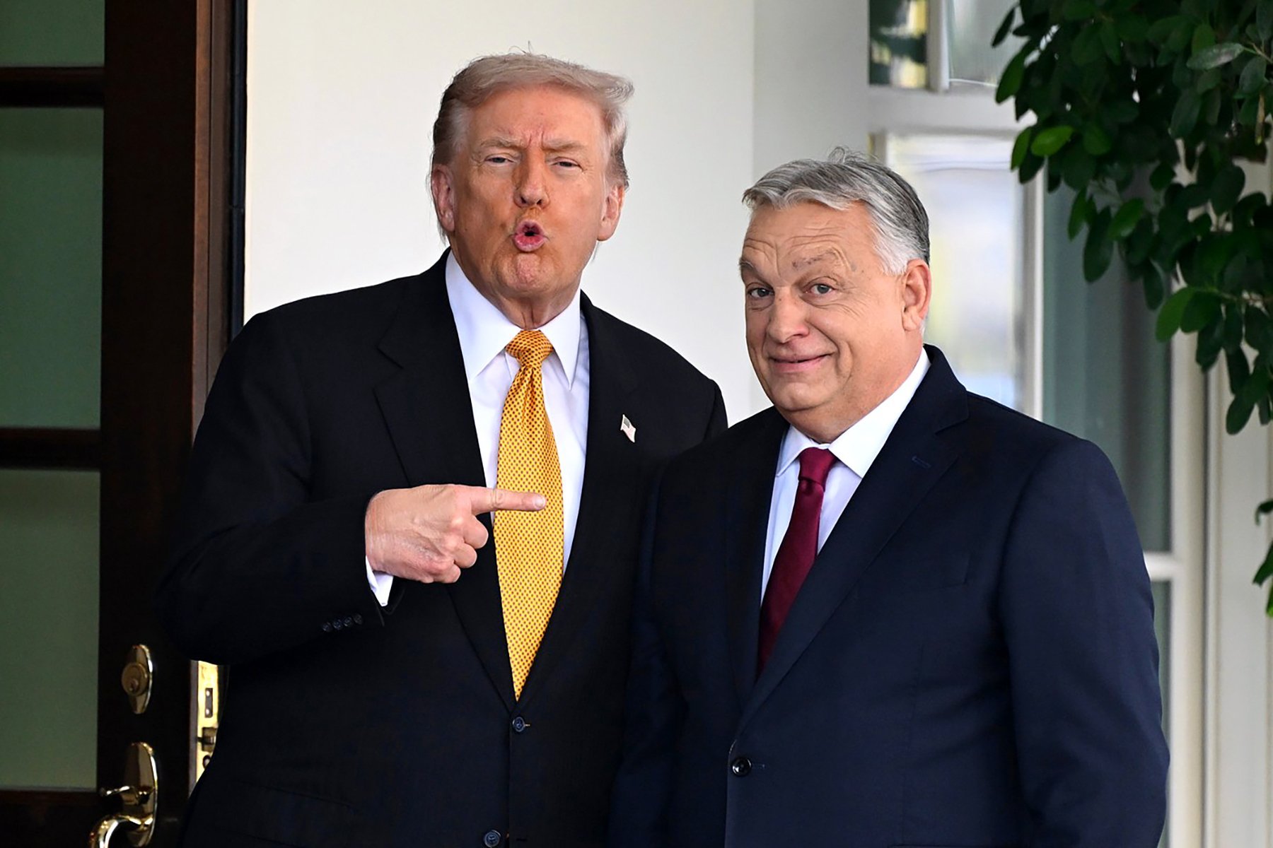 Skvělá volba. Fantastická. (Trump a Orbán)
